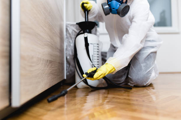 Wildlife Control Services in Newington, VA
