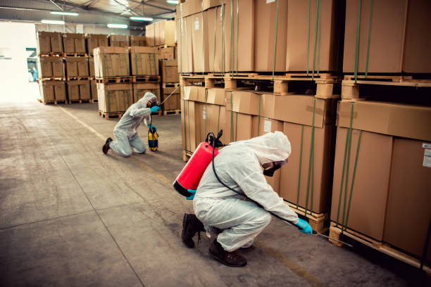Best Mosquito Control Services  in Newington, VA