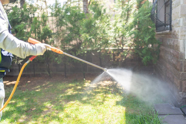 Best Pest Inspection Near Me  in Newington, VA