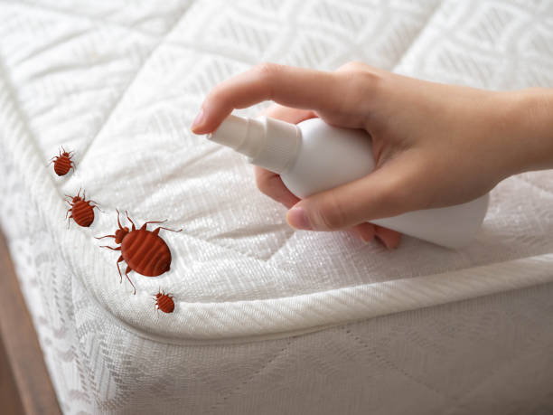 Trusted Newington, VA Pest Control Experts